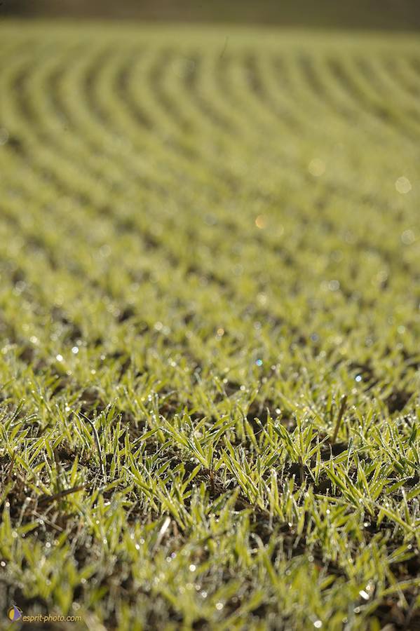 Nom de l'image : D30083139_1_(c)Norbert-JUNG — Description :